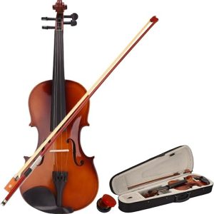 LALAHO 4/4 Violin Beginner's Set