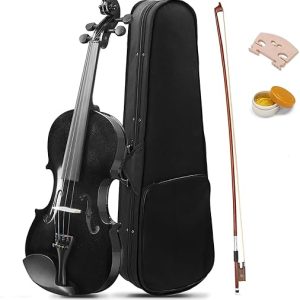 LALAHO Full Size Violin for Beginners