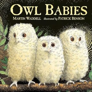 Owl Babies: A Heartwarming Bedtime Story