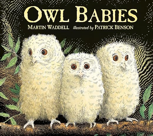 Owl Babies: Heartwarming Bedtime Story ...