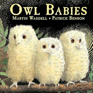 Owl Babies Bedtime Picture Book