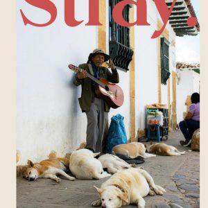 Stray: Stunning Dog Photography Coffee Table Book