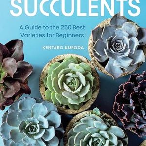 The Essential Guide to Succulents