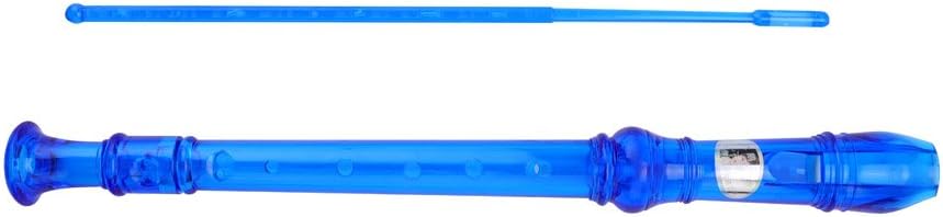 Vibrant 8-Hole Descant Recorder for Beg...